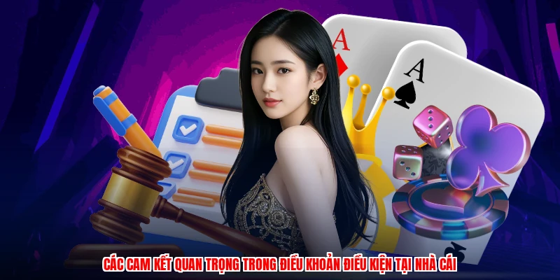Các cam kết quan trọng trong điều khoản điều kiện tại nhà cái