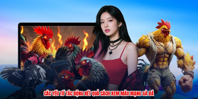 Các yếu tố tác động kết quả cách xem màu mạng gà đá