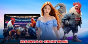 Cách Vô Nghệ Cho Gà Chọi - Hướng Dẫn Kỹ Thuật Chuẩn