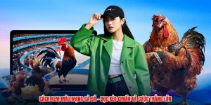 Cách Xem Màu Mạng Gà Đá - Đọc Kèo Chuẩn Và Cược Thắng Lớn