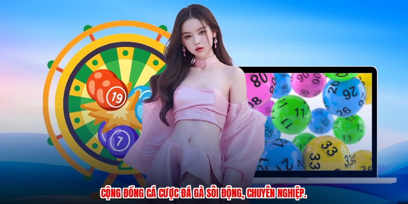 Cộng đồng cá cược đá gà sôi động, chuyên nghiệp.