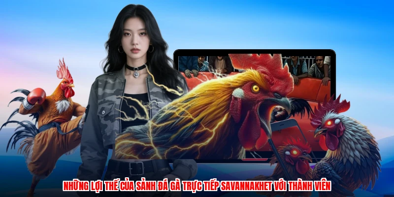 Những lý do thành viên ưu tiên sảnh cược gà EE88