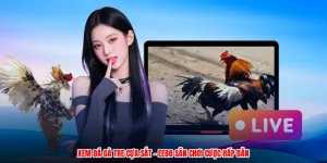Xem Đá Gà Tre Cựa Sắt - EE88 Sân Chơi Cược Hấp Dẫn