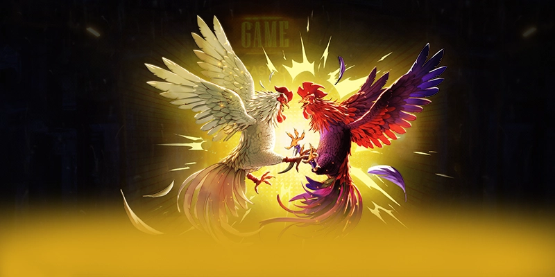 BET168 - Kết luận với góc nhìn khách quan. BET168 - Kết luận với góc nhìn khách quan.